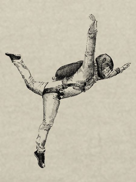 free fly