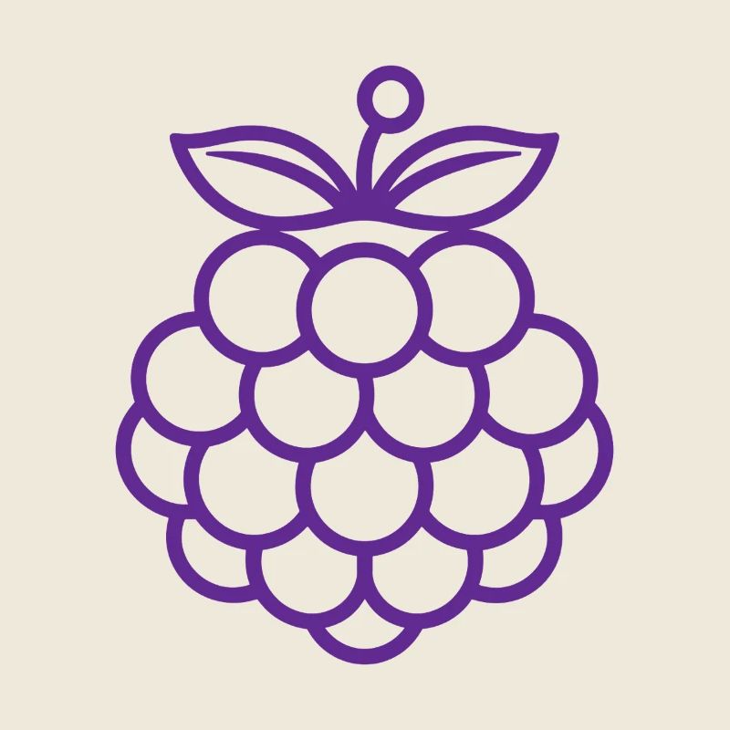 Illustration de Framboise Minimaliste mûre