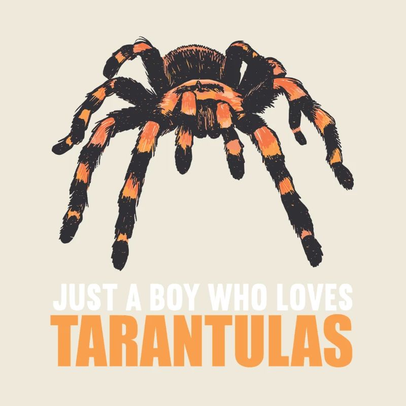 Tarentules Tarentule