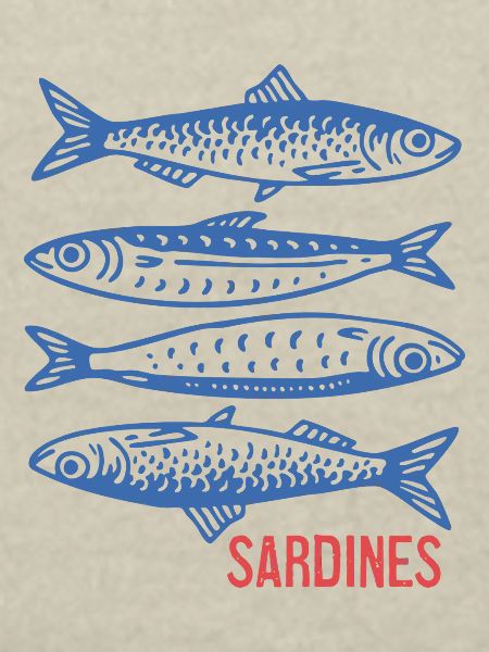 Sardines