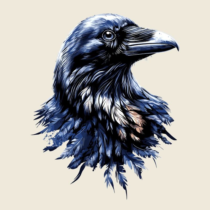Raven, Crow, Bird, Raven Crow, Jackdaw, Black Raven