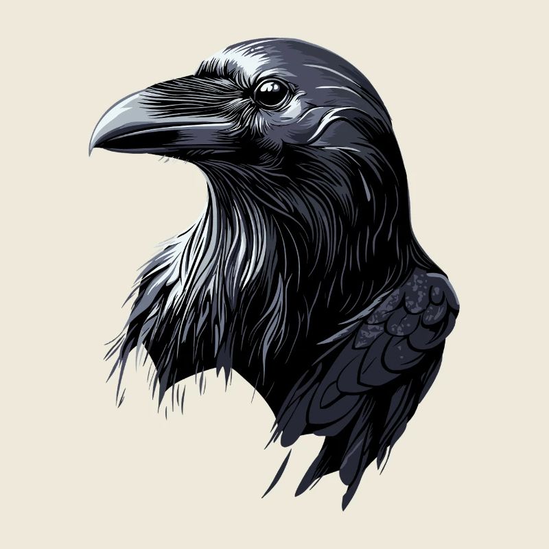 Corbeau, Corbeau, Oiseau, Corbeau Corbeau, Choucas, Corbeau noir