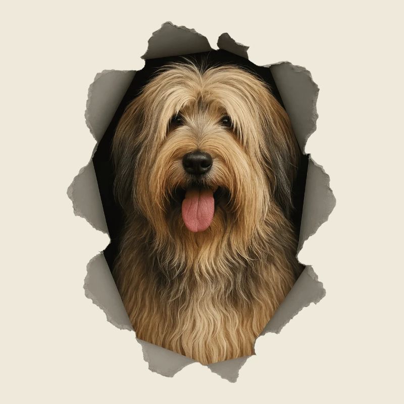 Chien de berger catalan