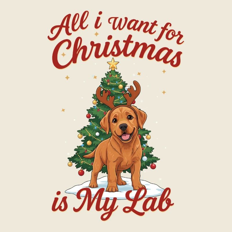 Tout ce que je veux pour Noël, c’est mon labo