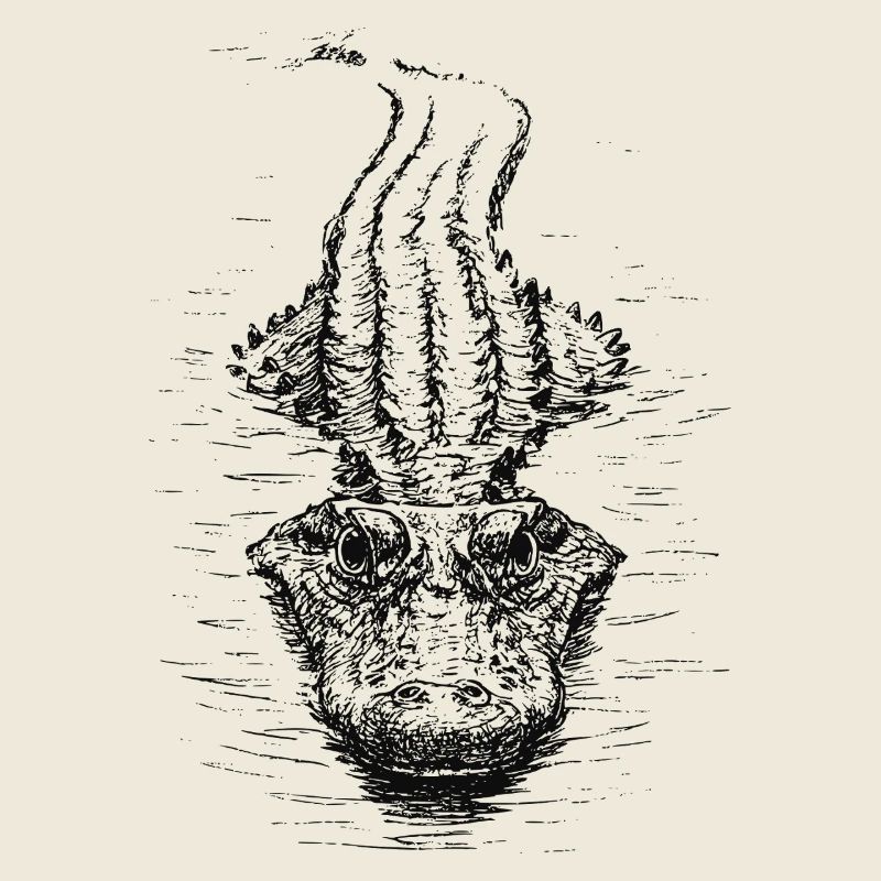 Floating Croc