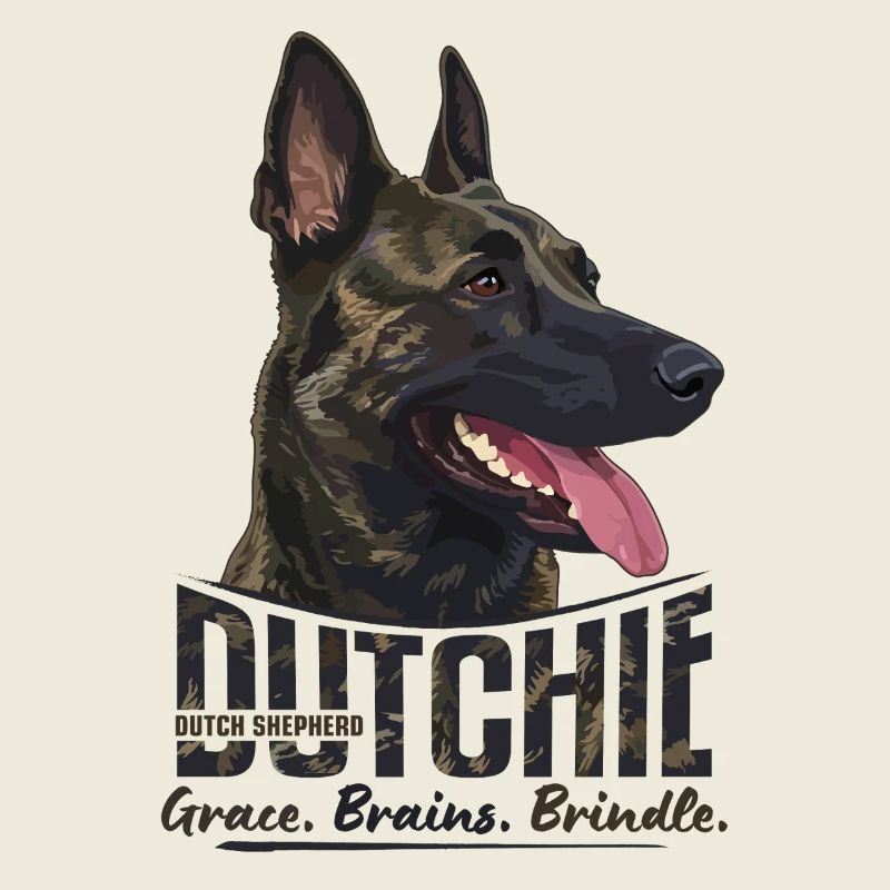 Dutchie - Dutch Shepherd Dog