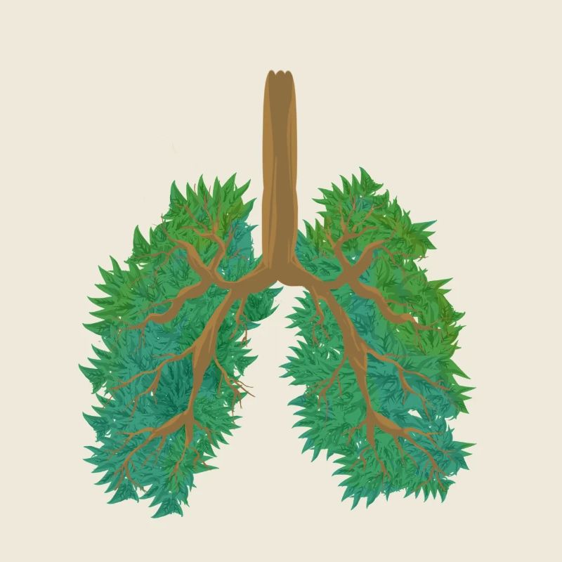 Forest Lungs Eco-Friendly Awareness Global Warming