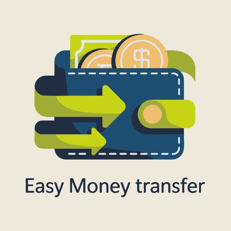 Cash Flow Wallet Icon