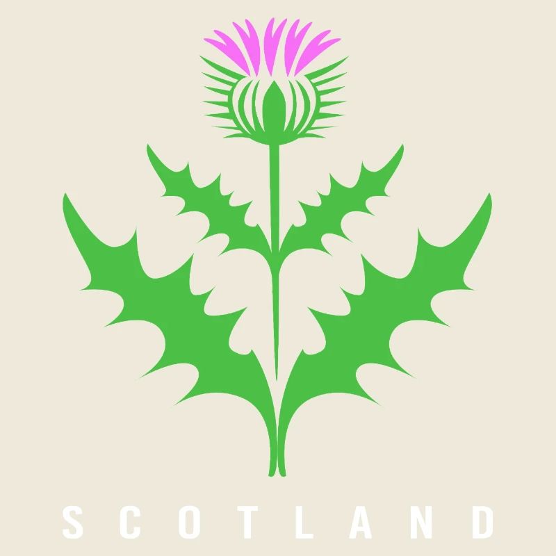 Schottland Schotten Schottisch Schotte