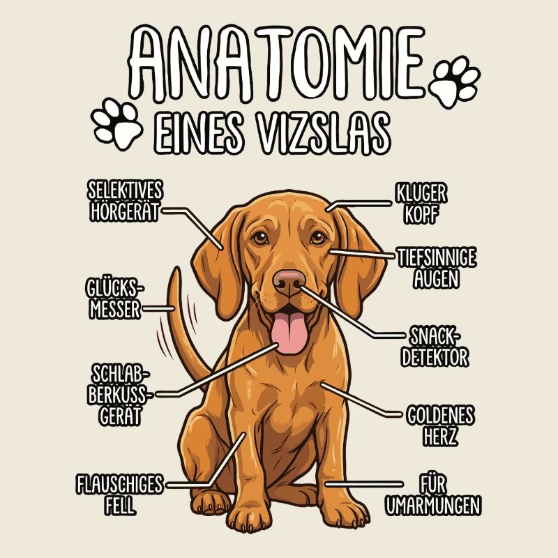 Vizsla : La Véritable Anatomie