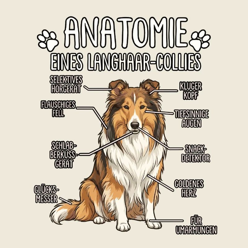Collie à poils longs : La véritable anatomie