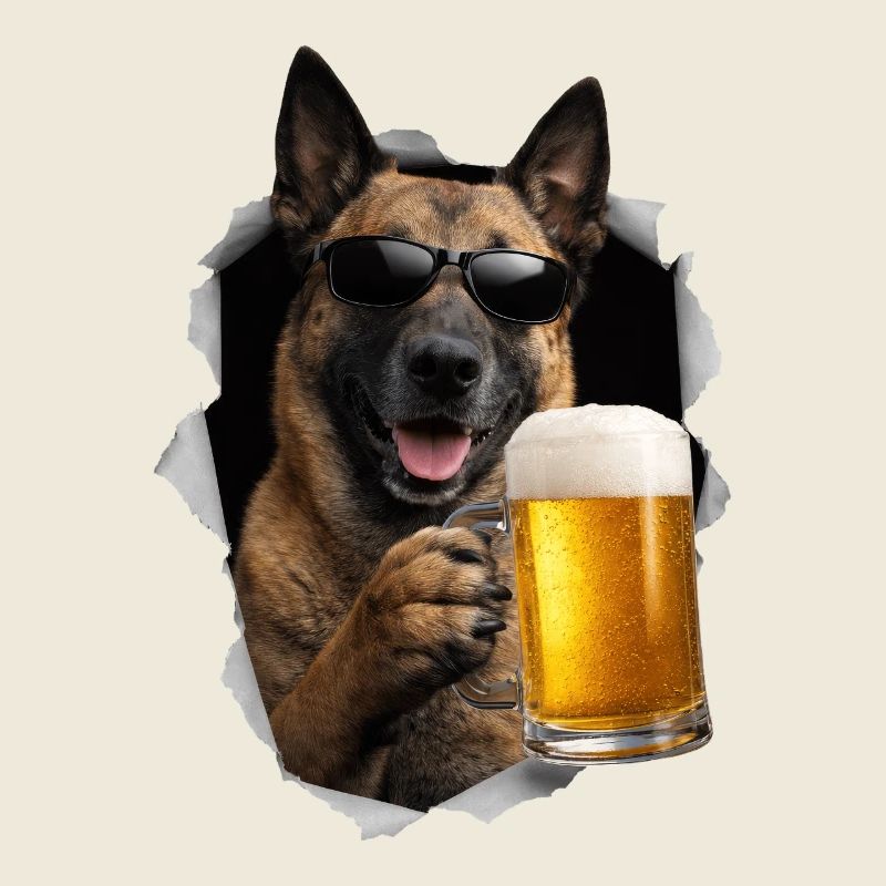 Bière Belgian Malinois Belgian Shepherd