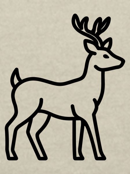 cerf