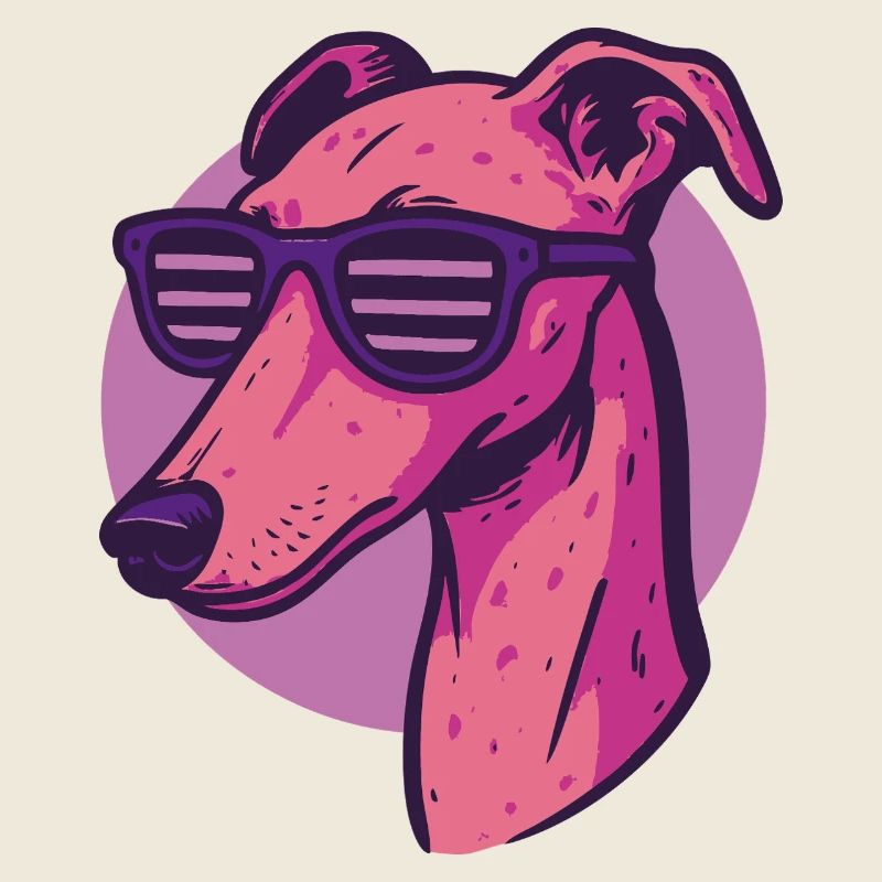 Lévrier, Galgo