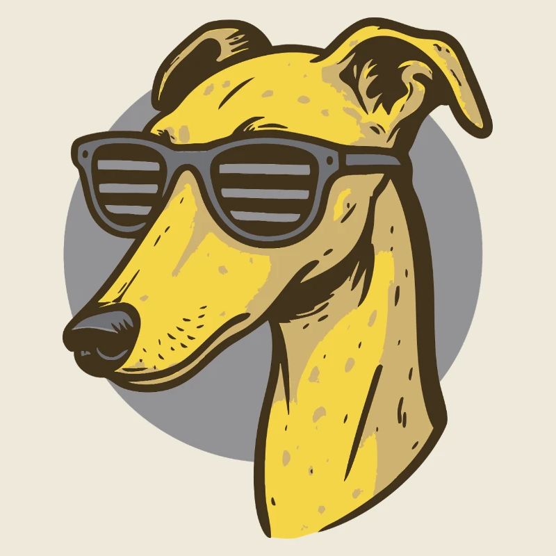 Lévrier, Galgo
