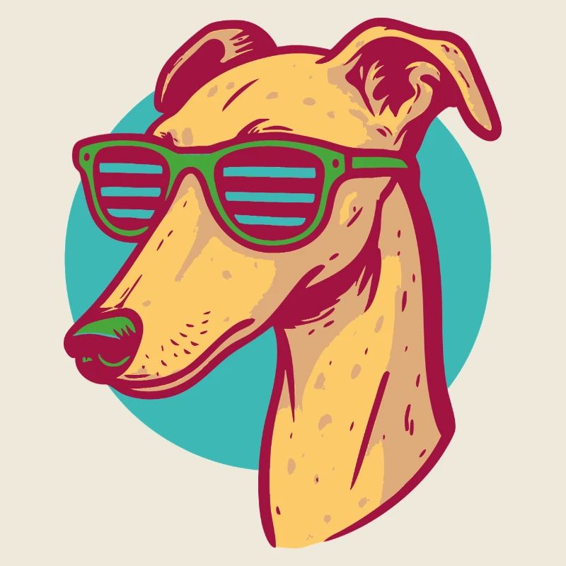 Windhund, Galgo