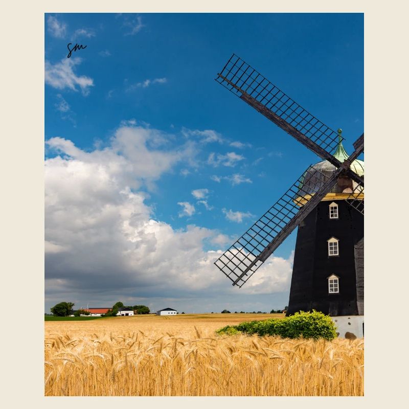Mill among golden fields