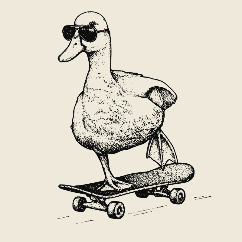 Skater Duck