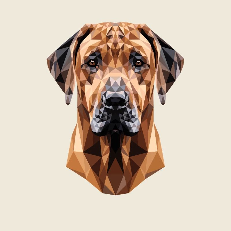 Rhodesian Ridgeback Jagdhund Hunde Stolz Ridgeback
