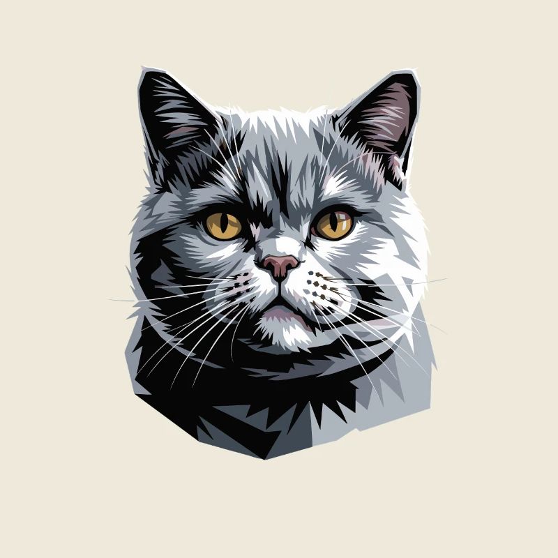 British Shorthair Chat BKH Chat Maman Chats Mignons