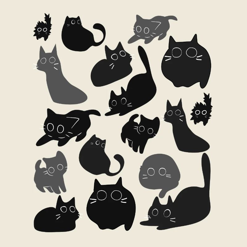 Montage du chat de minuit
