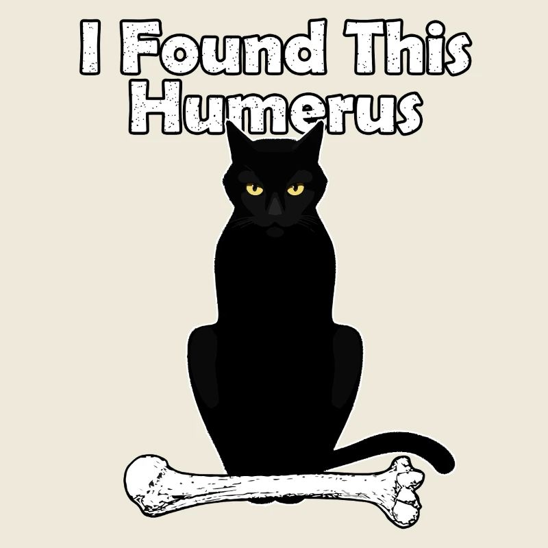 I Found This Humerus Cat