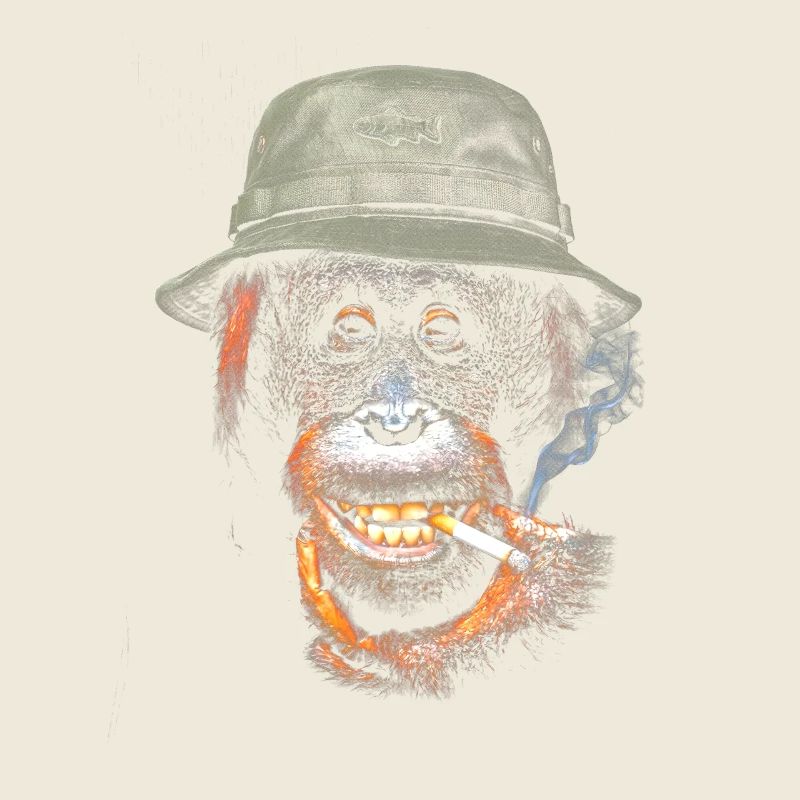 Orang-outan d’aventure avec chapeau