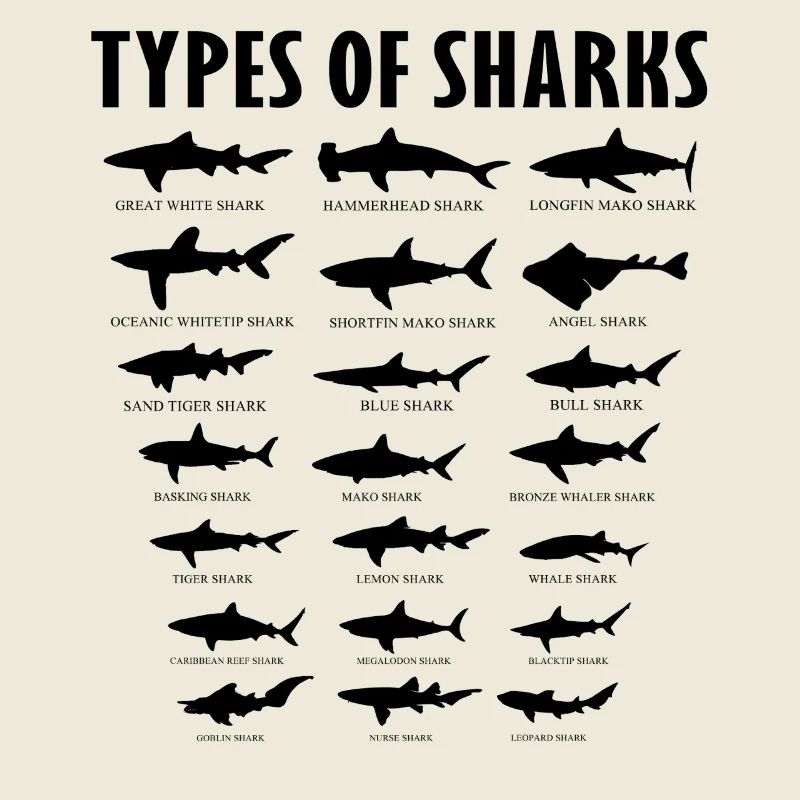 Tableau des types éducatifs d’espèces de requins