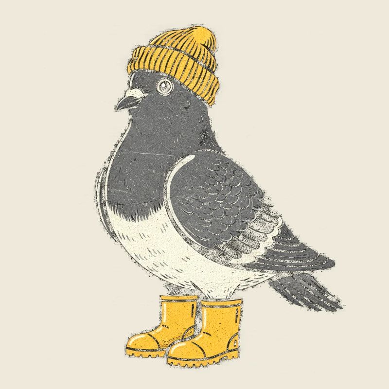 Penguin with hat and boots