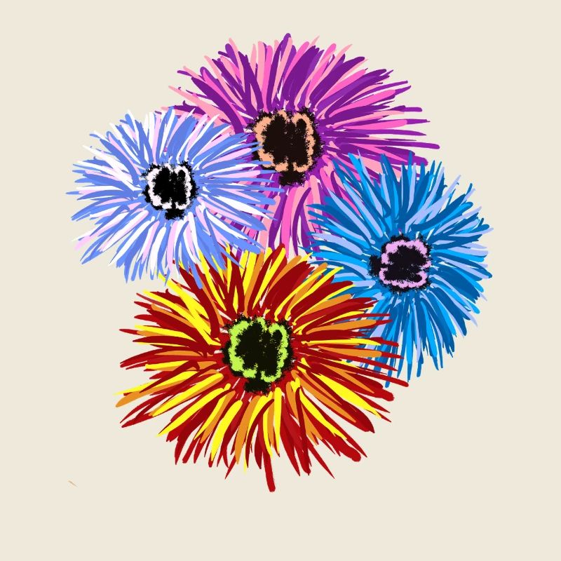 Fleurs Colorées Fleurs Jardin de Fleurs Florales
