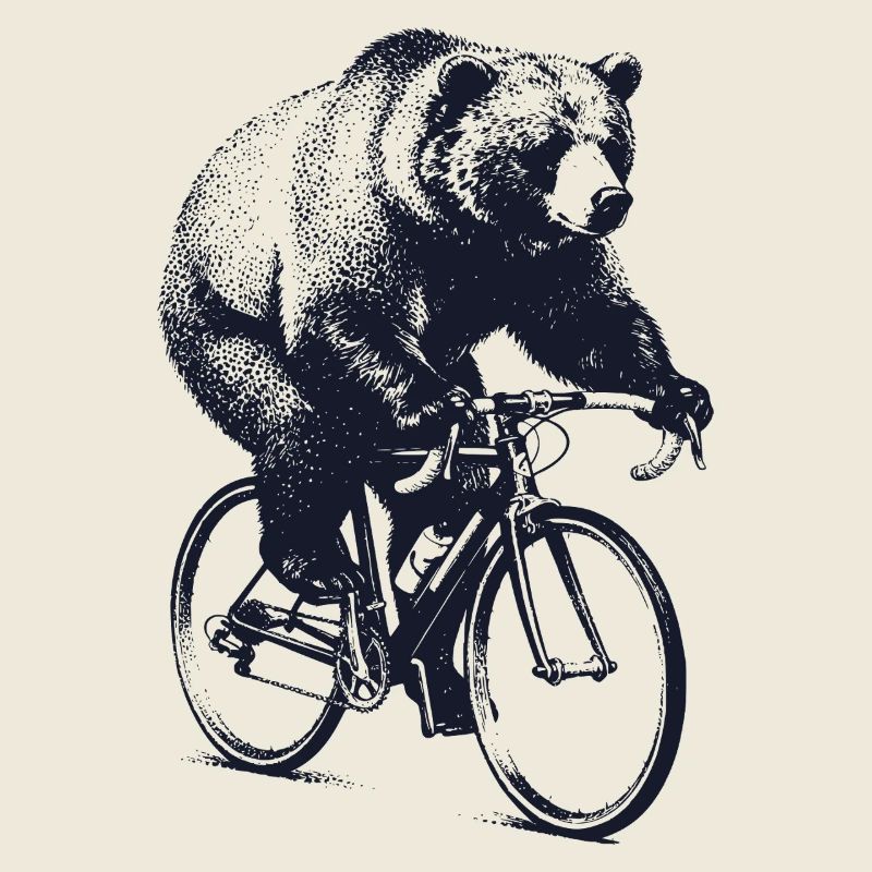 Bär auf Rennrad