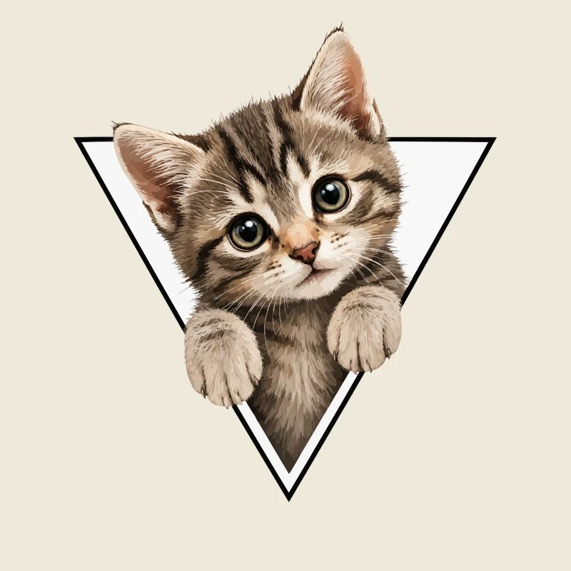Chaton dans le triangle