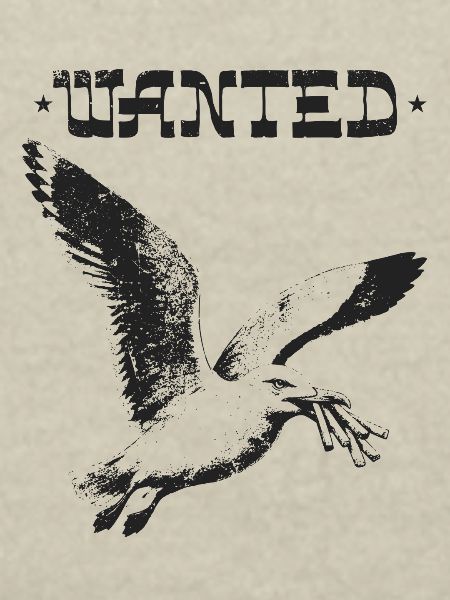 Wanted - Diebische Möwe