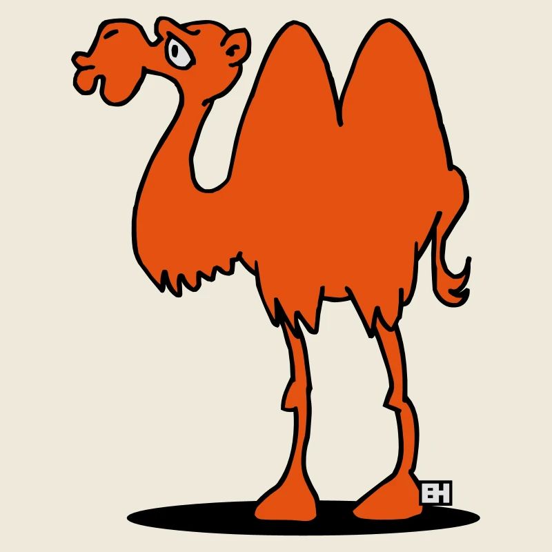 Camel