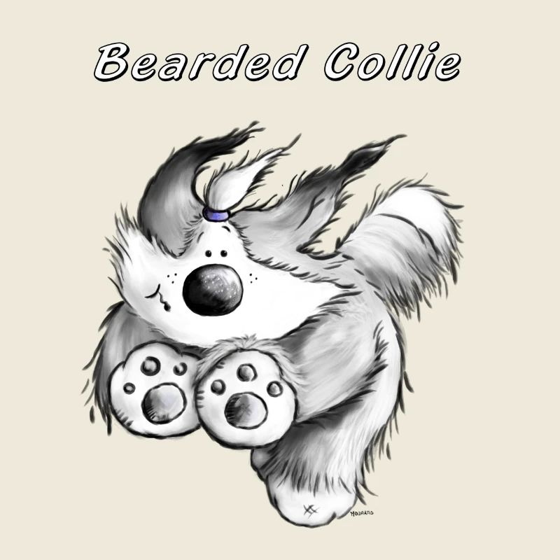 Running Bearded Collie