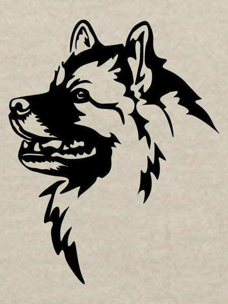 Tête de Wolfsspitz