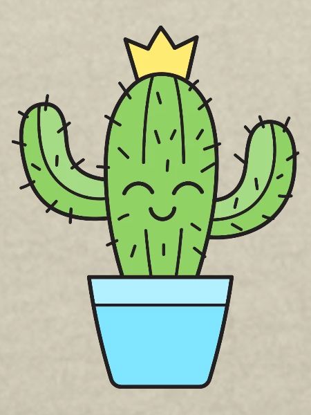 Cactus Cacti