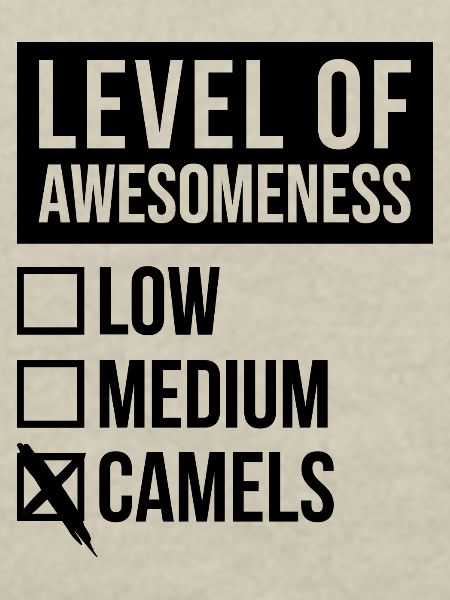 Camel Camel Camel