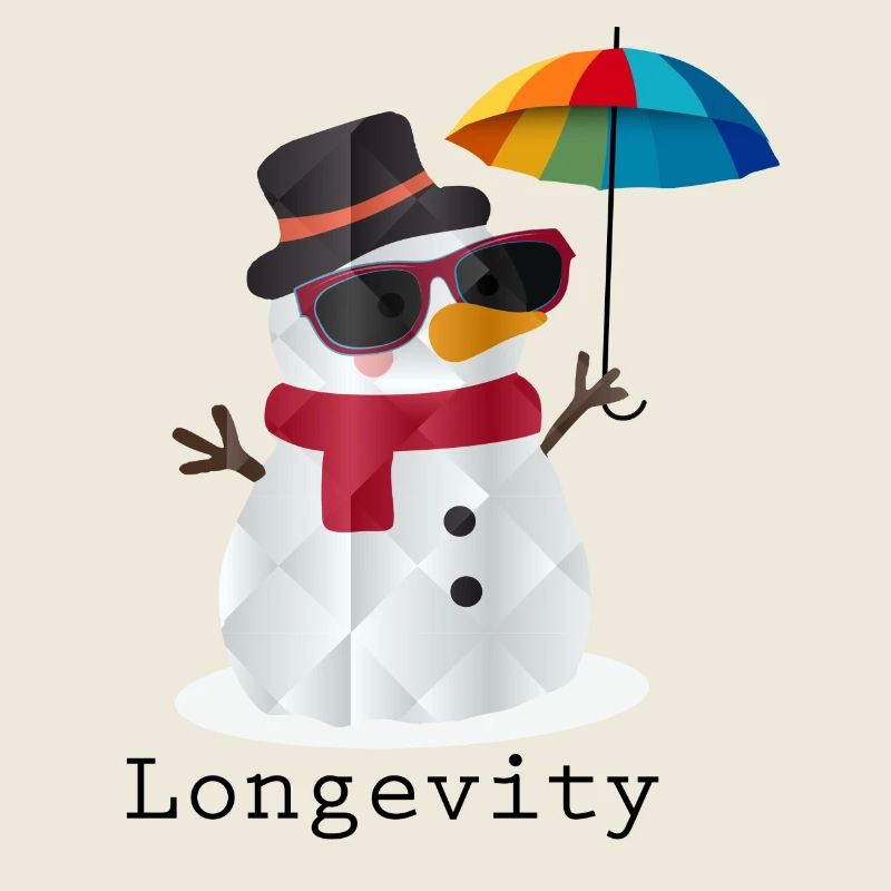 Longevity Schneemann – Humorvolles Winterdesign