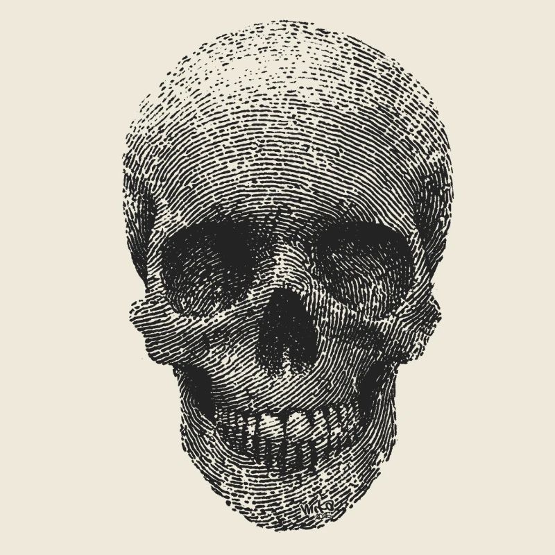 Fingerprint Skull
