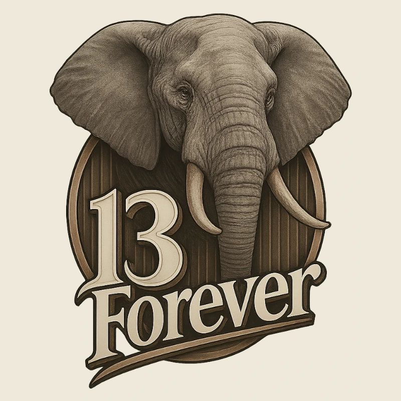 13Éléphant