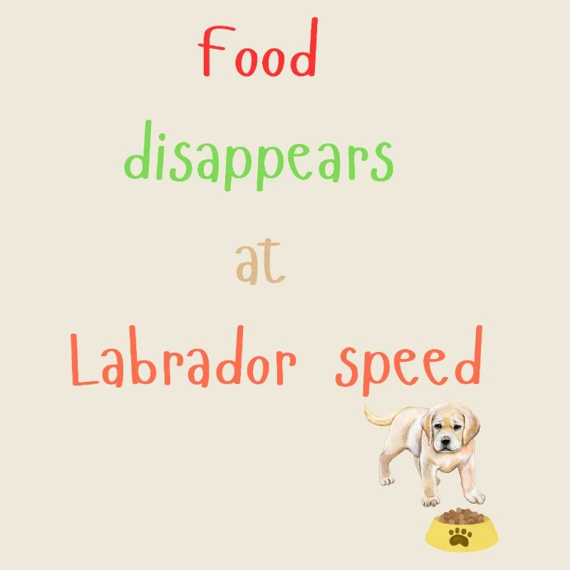 Labrador Essen Verschwinden Verspieltes Design