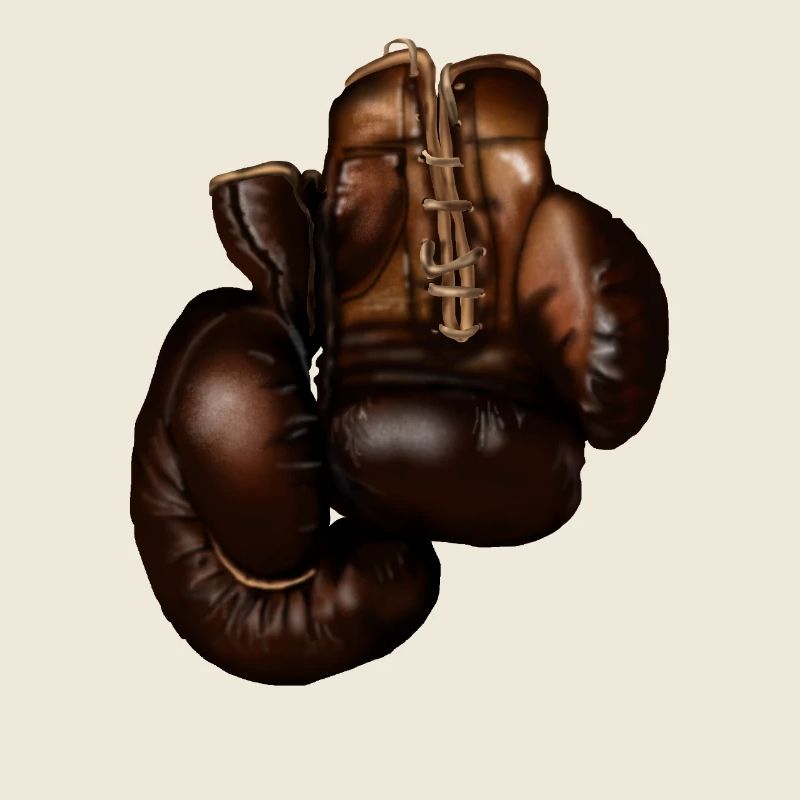 Gants de boxe foncés en cuir