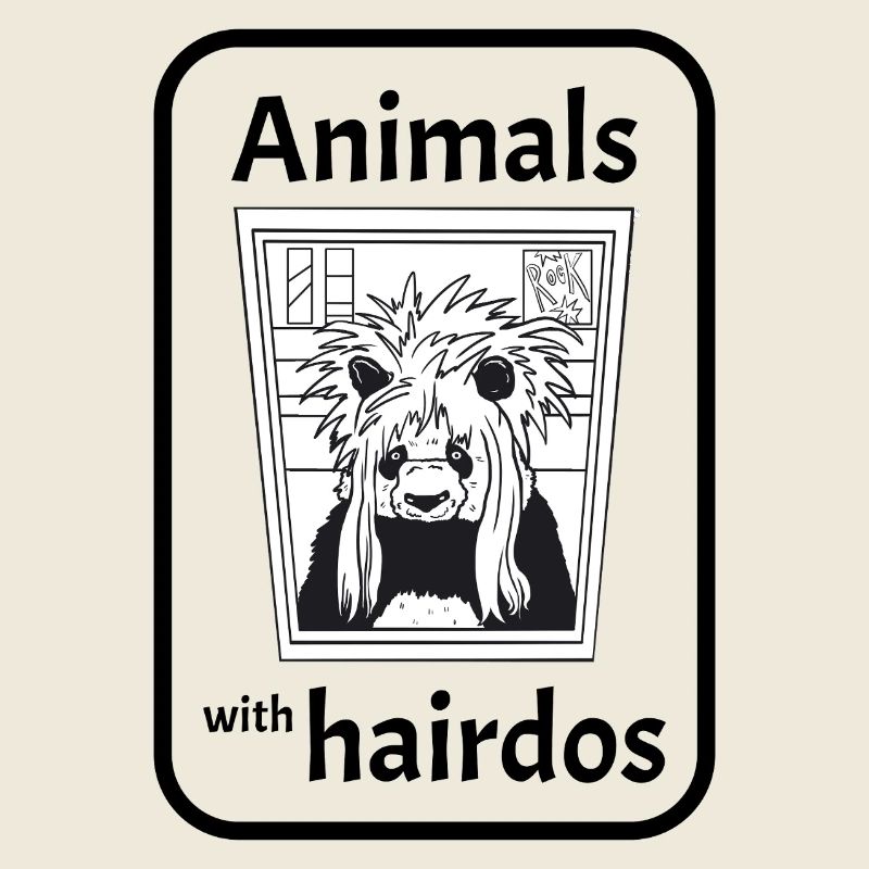 Panda with hairstyle