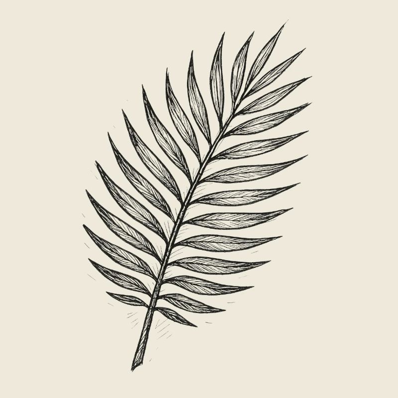 Black Palm Leaf Sketch