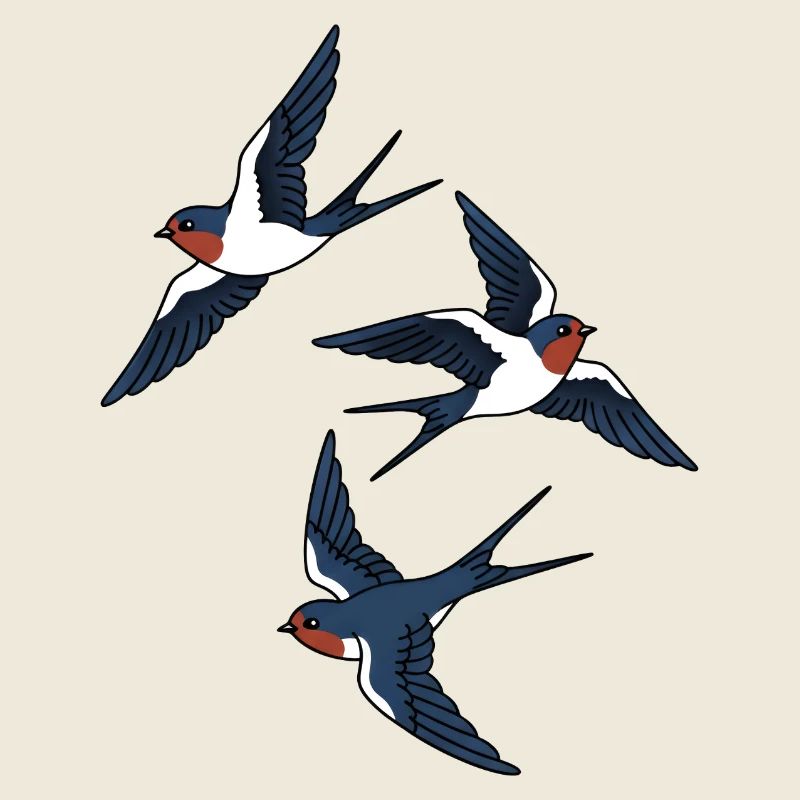 swallows