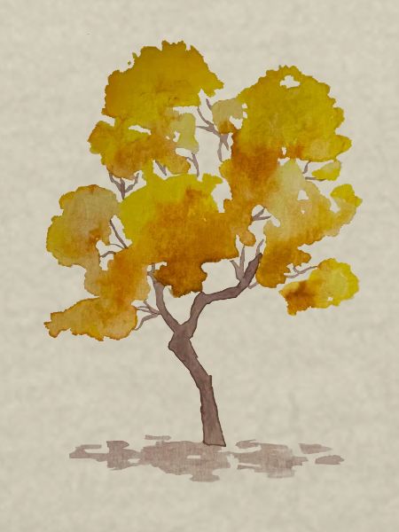Arbre d'automne