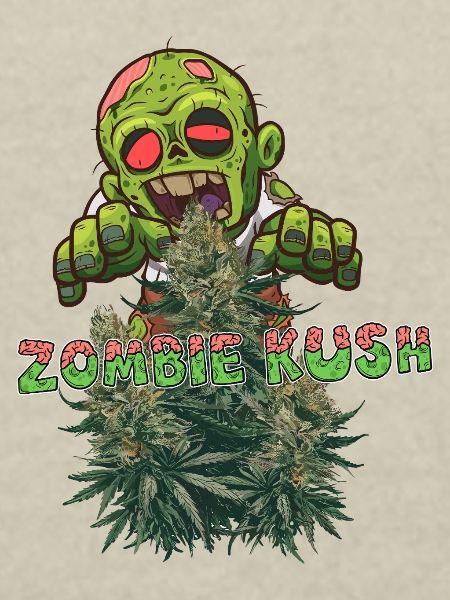 Zombie Kush