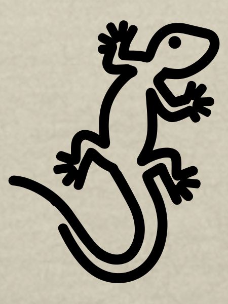lizard