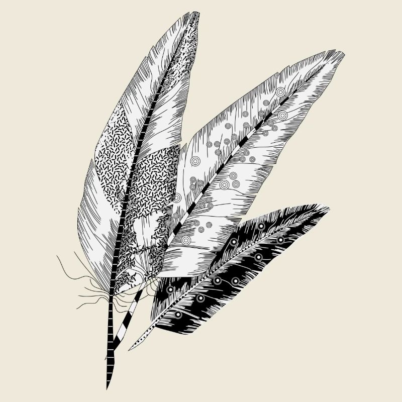 trois plumes